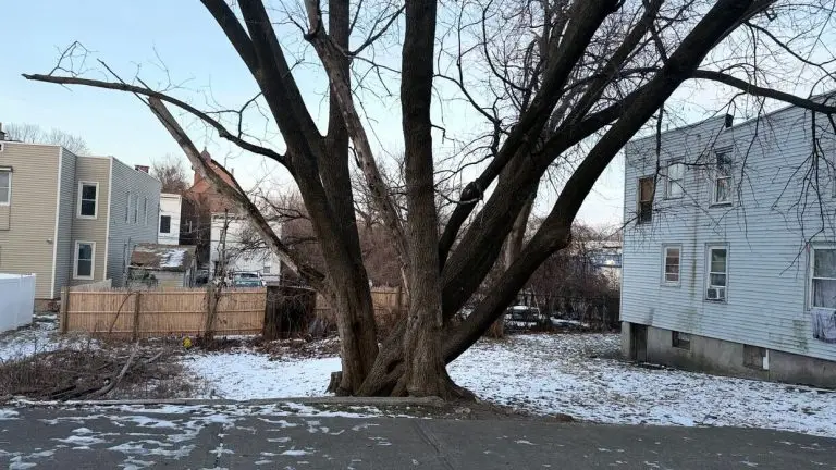 attachment (6)